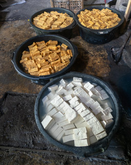 Tofu production