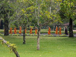 Buddhist monks arriving at Borobudur Temple
