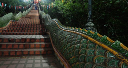 Wat Phra That Doi Suthep - 309 steps up the serpent stairs lead to the pagoda.