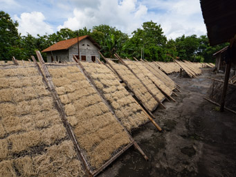 Noodles drying in the sun