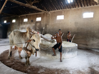 Lethek noodle factory