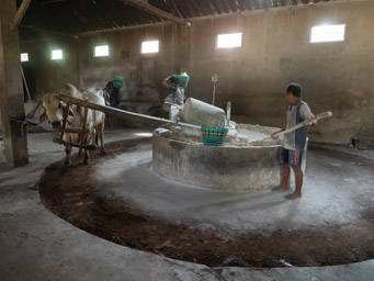 Lethek noodle factory