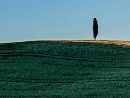Tuscany