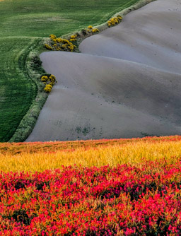 Tuscany