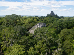 Tikal