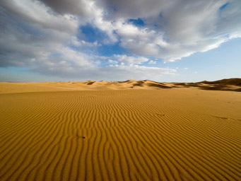 Hongoryn Els Sand Dunes
