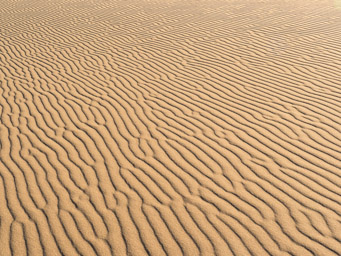 Hongoryn Els Sand Dunes