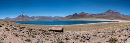 Miscanti Lagoon - Chile