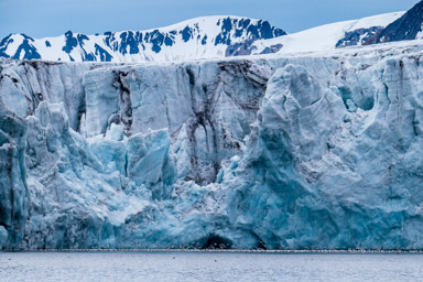 Samarinbreen glacier with a flock of kittiwakes