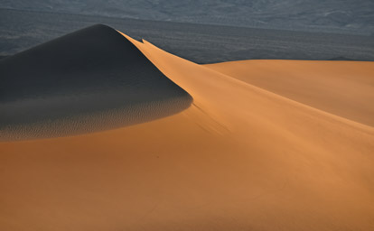 Mesquite Dunes at Dawn