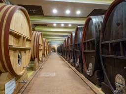 Tikves Winery - Kavadarci