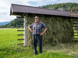 Farmer drying hay