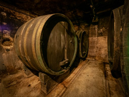 Vinska Klet Wine Cellar - Ptuj